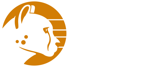 Logo von 3BE Audio, ein Gepardenkopf mit Gitarren-Saiten und den Buchstaben 3 B E